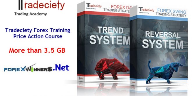 Tradeciety Forex Training – Price Action Course 1