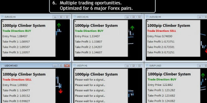 1000 pip climber system for trading signals 1