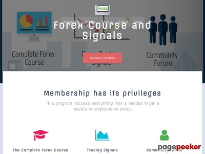 Forex – Course and Signals 59