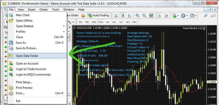 Russian Robot the Flex EA Correlated Hedge