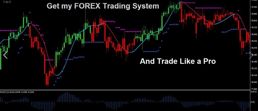 turtle forex trading system