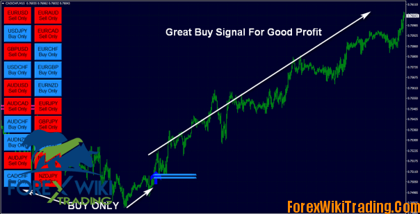 FX Eagle Forex Software - Get 10% Daily Profit 13
