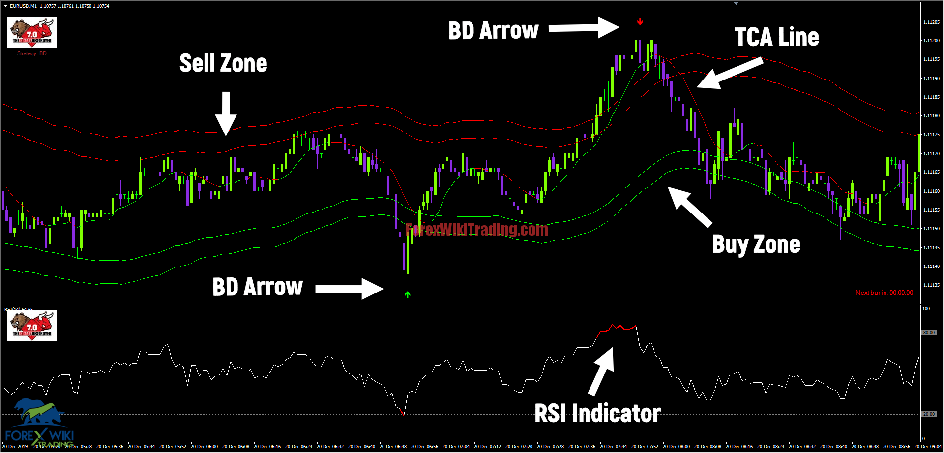 , TRADING BINARY PIPS- Free  Edition