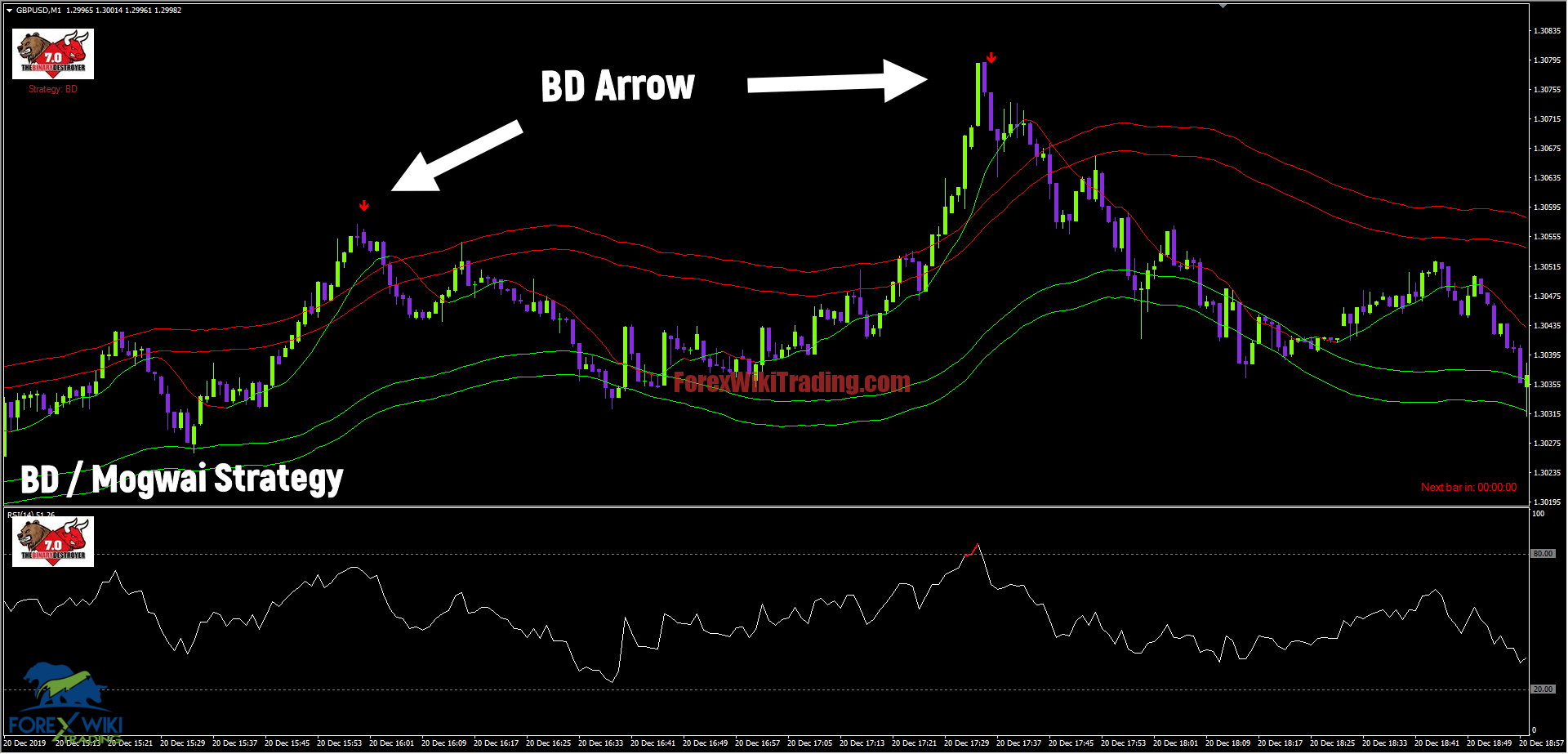 , TRADING BINARY PIPS- Free  Edition