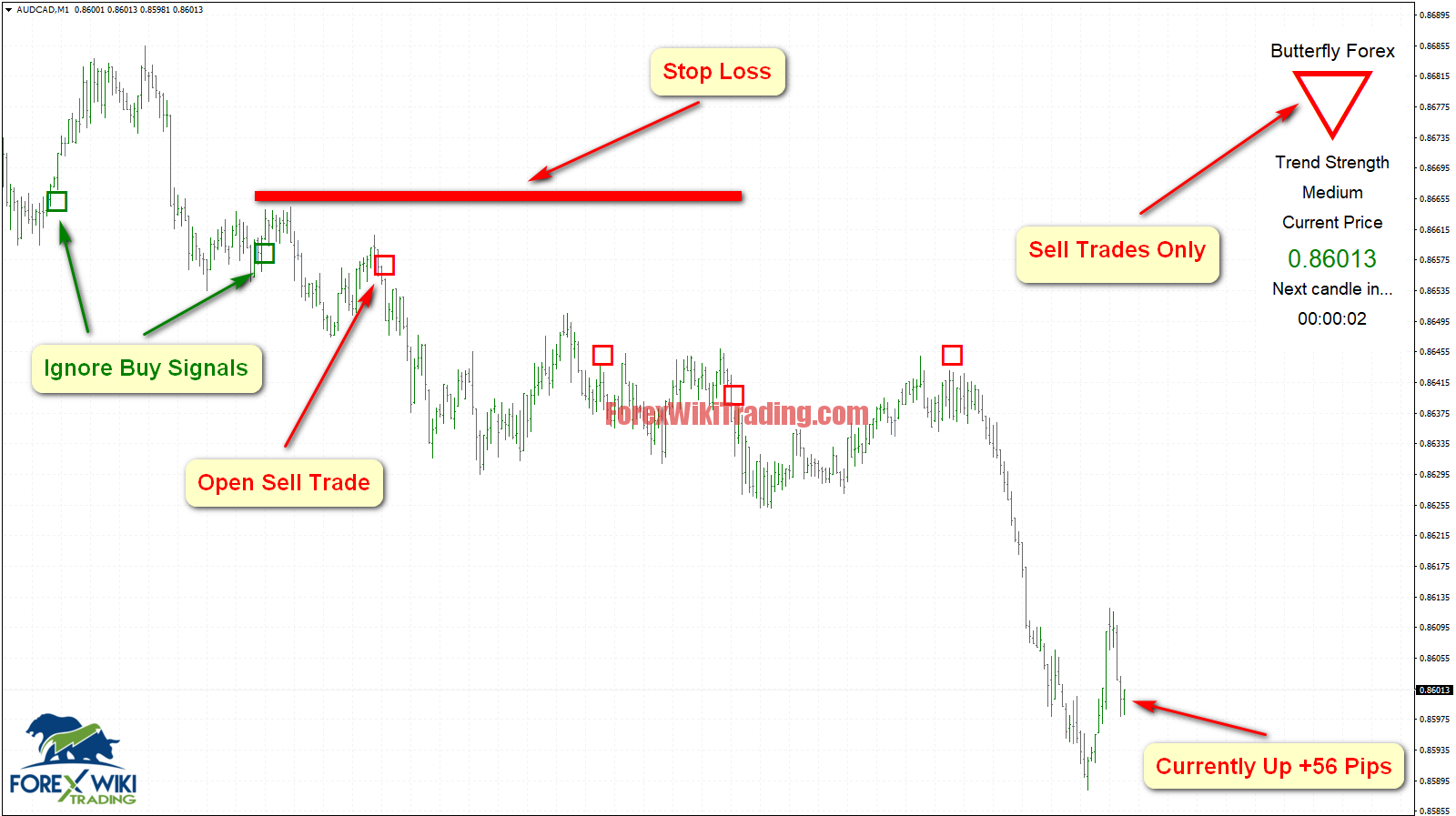 BUTTERFLY FOREX Trading System -[Cost $97]- Free Unlimited Version