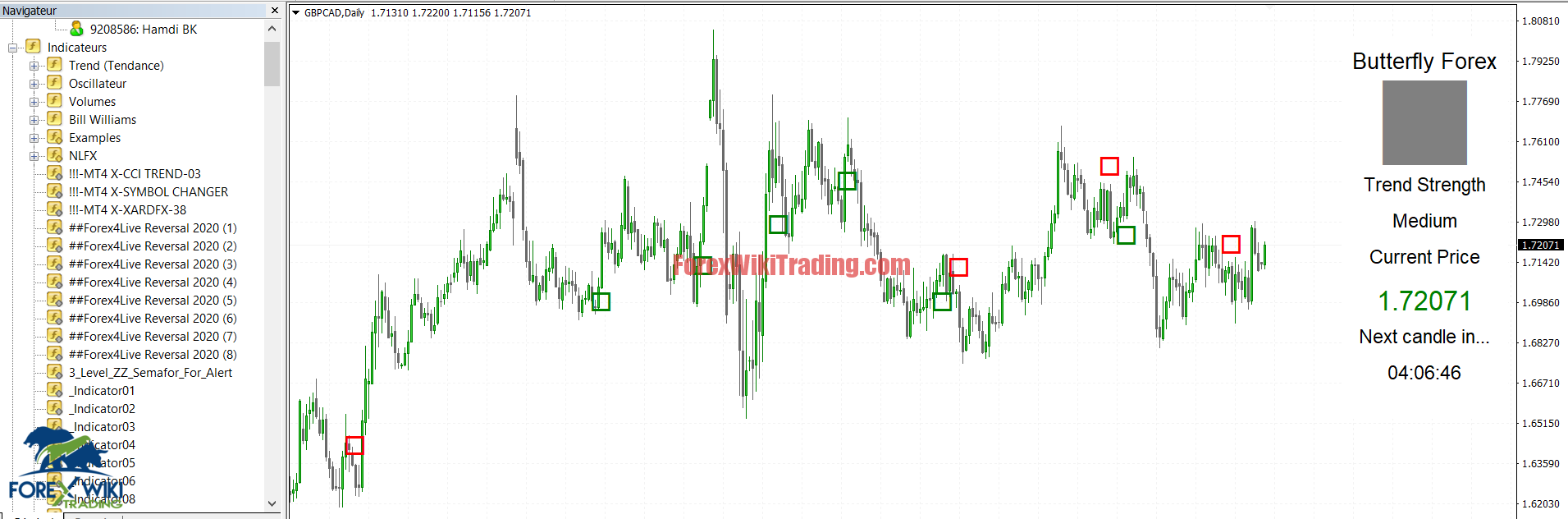 VITAL FOREX Trading System - Free Edition 1