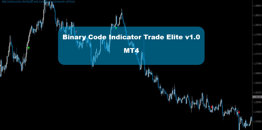 binary code indicator trade elite v1.0 pdf