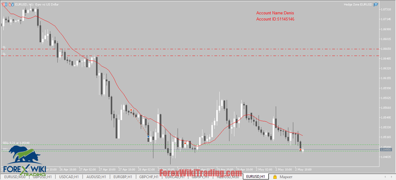 Forex Hedging Strategy EA 