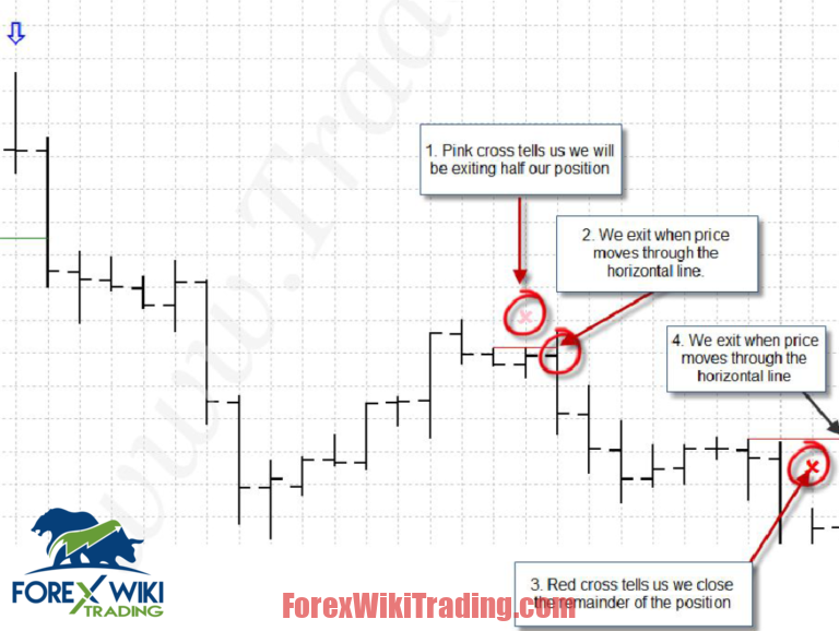 Forex market hierarchy example goodman wave theory forex converter