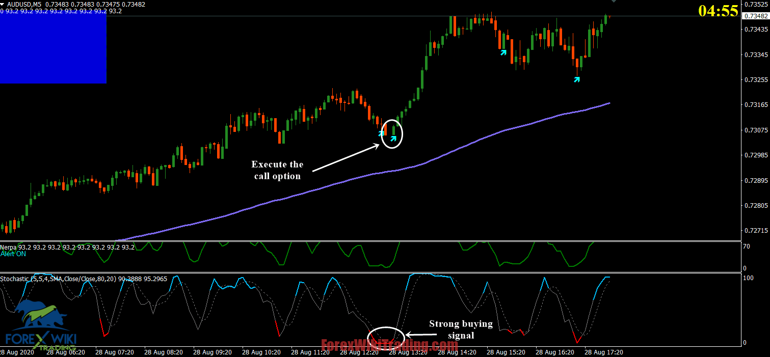 Binary Options Compounding Strategy 