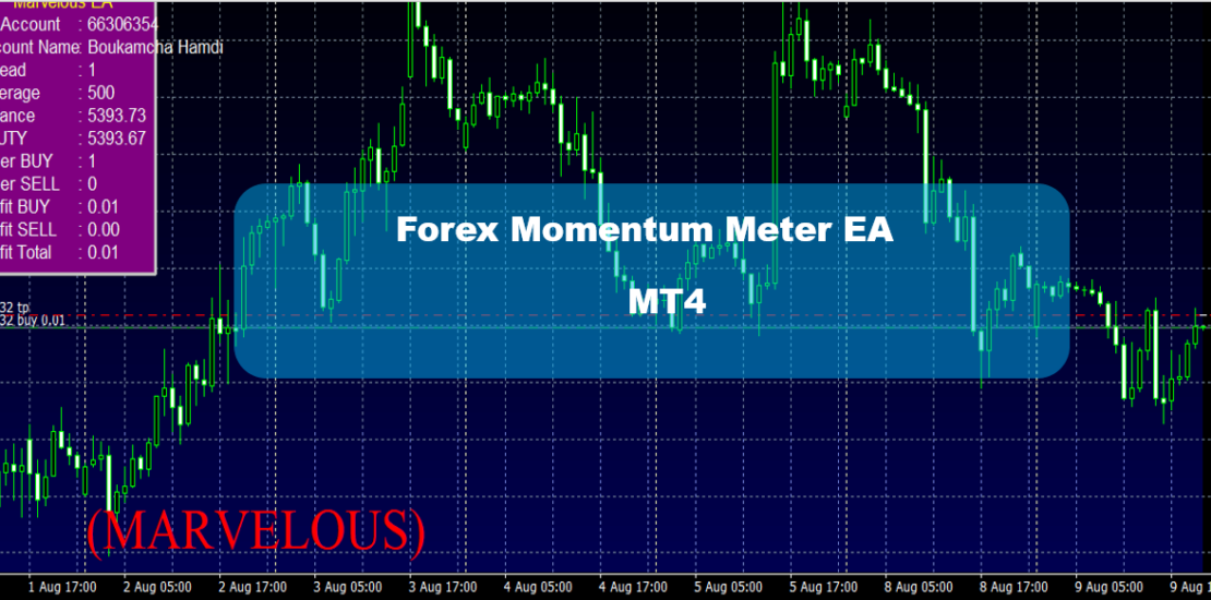 Forex Momentum Meter EA MT4
