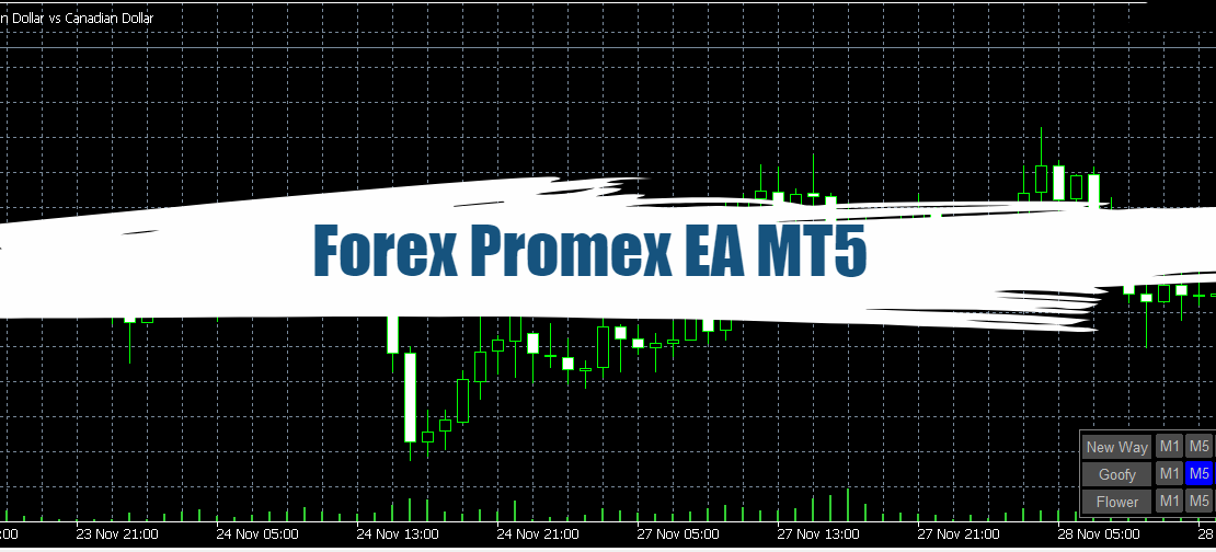Forex Promex EA MT5 - Free Educational Version 14