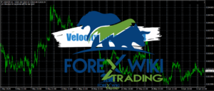 Velocity Edge EA (2)