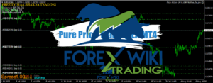 Pure Price Trading EA MT4 - Free Download Capture d’écran 2025-08-07 091631
